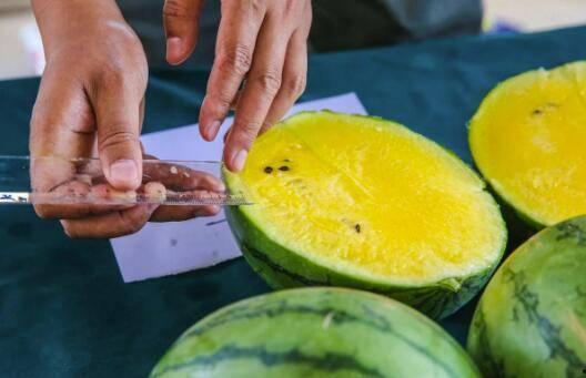 百朝吃瓜,吃瓜群众眼中的历史变迁