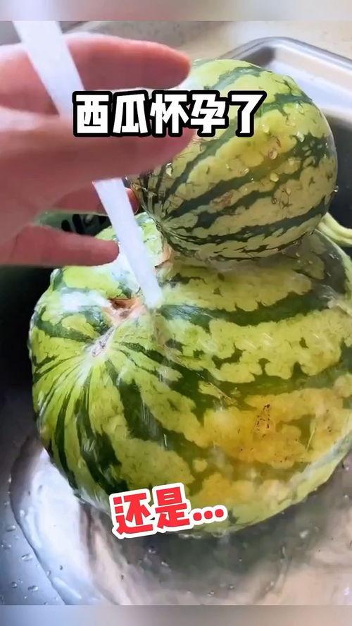 美国搞笑吃瓜视频,笑料百出，欢乐无限