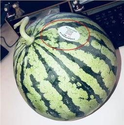 网红图片吃瓜,揭秘网络热点背后的真相