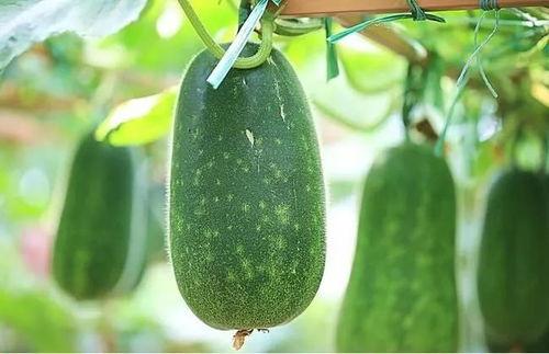 吃瓜不如看看,揭秘娱乐圈幕后故事