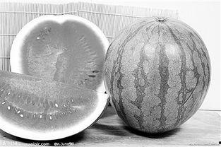 数字藏品吃瓜,吃瓜群众的全新娱乐盛宴