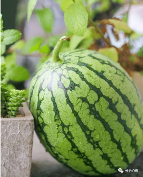 现代吃瓜心理,一场全民参与的娱乐盛宴