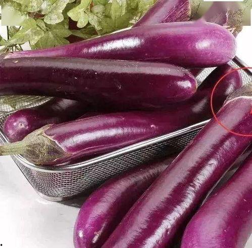 黑洞瓜vs吃茄子