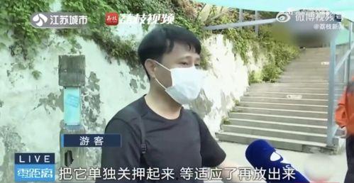 吃瓜网友小枫,揭秘娱乐圈那些不为人知的幕后故事