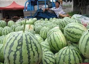 近几日吃瓜,明星动态揭秘