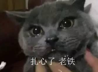 吃瓜唐十八喵,揭秘娱乐圈背后的那些事儿