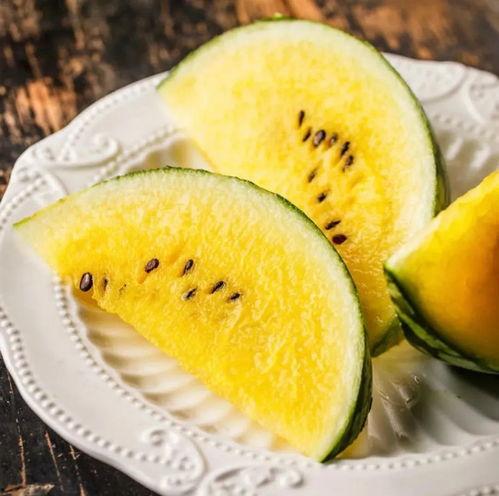 甜李村水面吃瓜,共享丰收喜悦