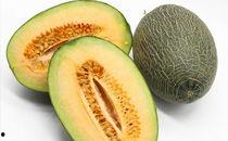 哈密瓜在什么季节吃的,哈密瓜的季节之旅