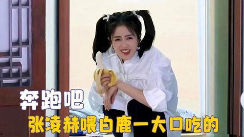 白鹿搞笑吃瓜,带你领略娱乐圈欢乐瞬间