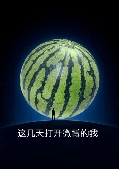 吃瓜也养瓜微博,微博带你体验新型互动乐趣