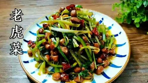 吃瓜老虎菜app,解锁美食新体验，尽享生活乐趣
