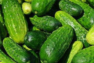 梦吃两瓜,探寻瓜果之梦中的神秘寓意