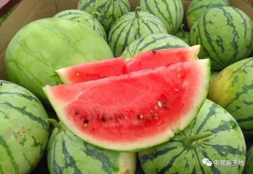 烟台今天吃瓜事件,一场网络热议背后的真相揭秘