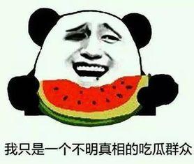 吃瓜不知道吃哪边,轻松掌握瓜界风向标