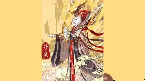 瓜西皮怎么吃,解锁夏日清新美味新境界