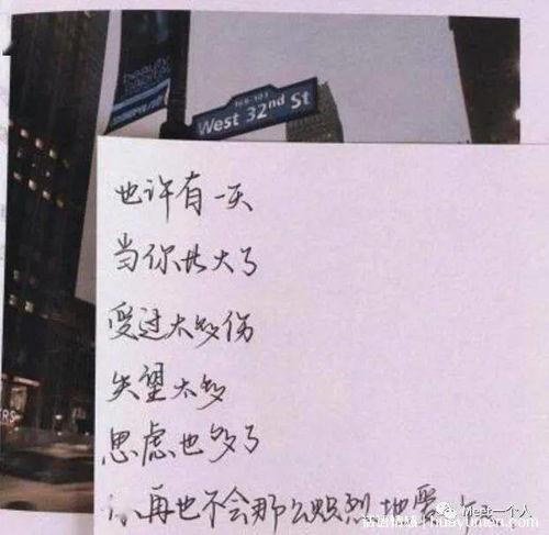 吃瓜长篇文案短句伤感,吃瓜者的伤感之旅