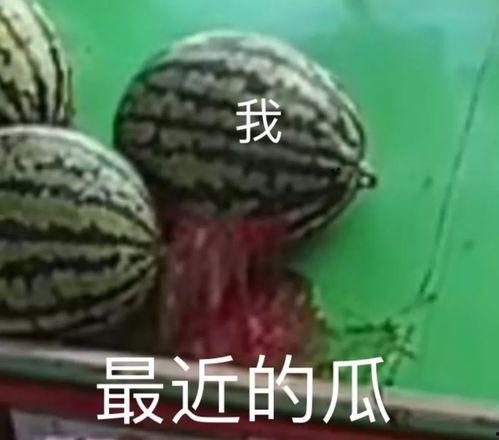 在线 吃瓜,揭秘“吃瓜群众”背后的故事
