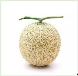 无水印头像吃瓜,揭秘网络红人的神秘面纱