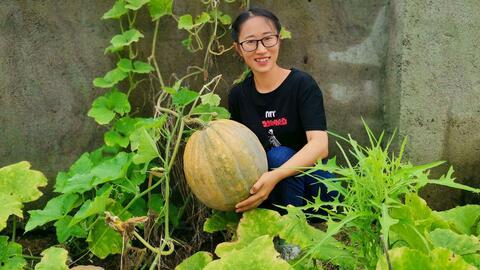 瓜哥吃瓜校园生活,揭秘校园里的那些“瓜”