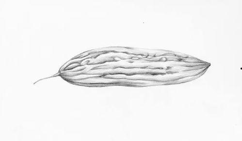 半生瓜苦涩吗怎么吃,如何巧妙食用解锁美味