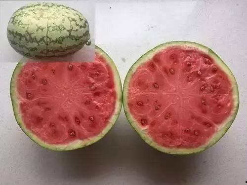 吃假瓜的心情,心酸滋味尽在其中