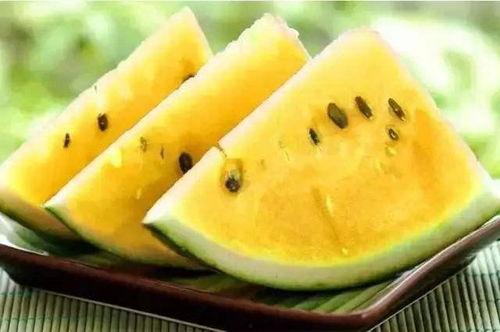 不喝酒吃瓜,健康生活新风尚