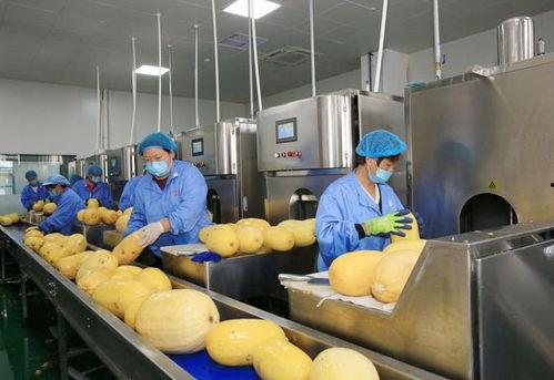 宿州吃瓜视频事件,网络舆论漩涡中的真相探寻